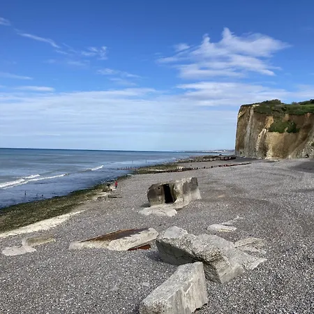 Mouettes Hautot-sur-Mer