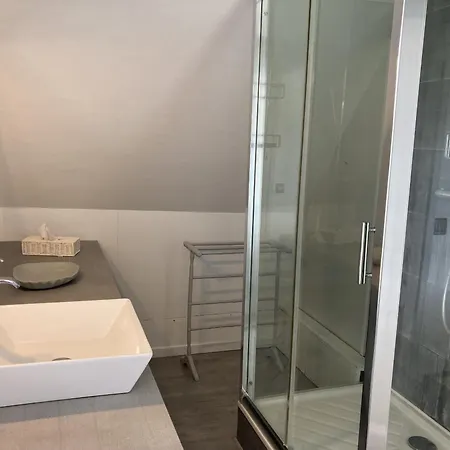 Mouettes * Hautot-sur-Mer