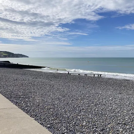 Mouettes Daire Hautot-sur-Mer