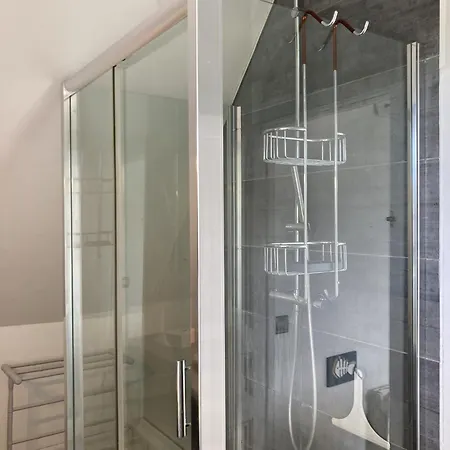 Mouettes Hautot-sur-Mer