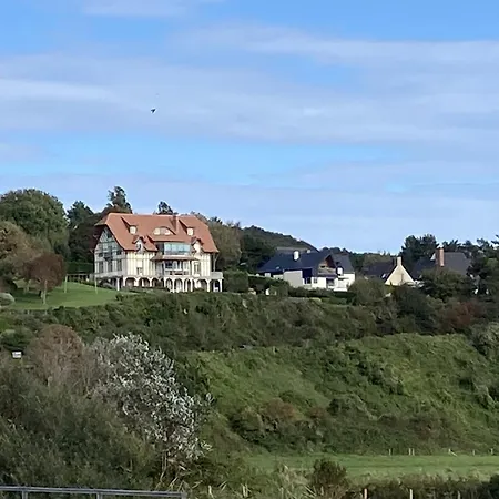 Mouettes * Hautot-sur-Mer
