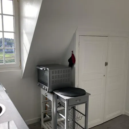 Mouettes Daire Hautot-sur-Mer