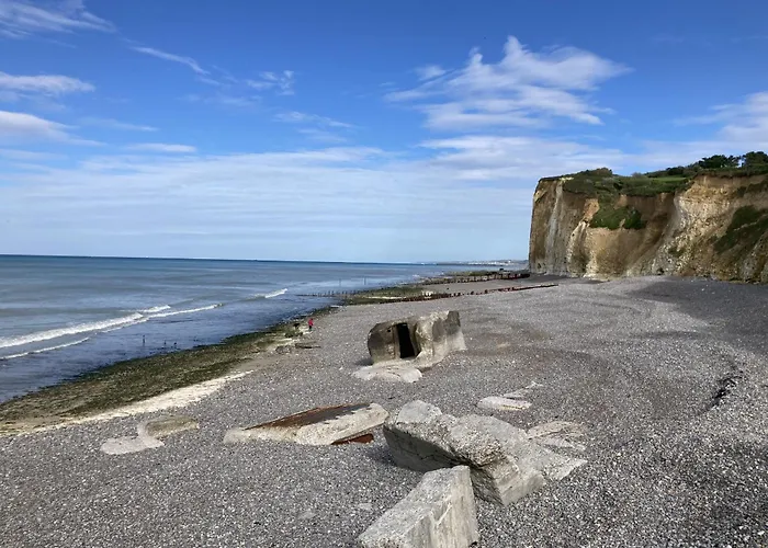 Mouettes Hautot-sur-Mer