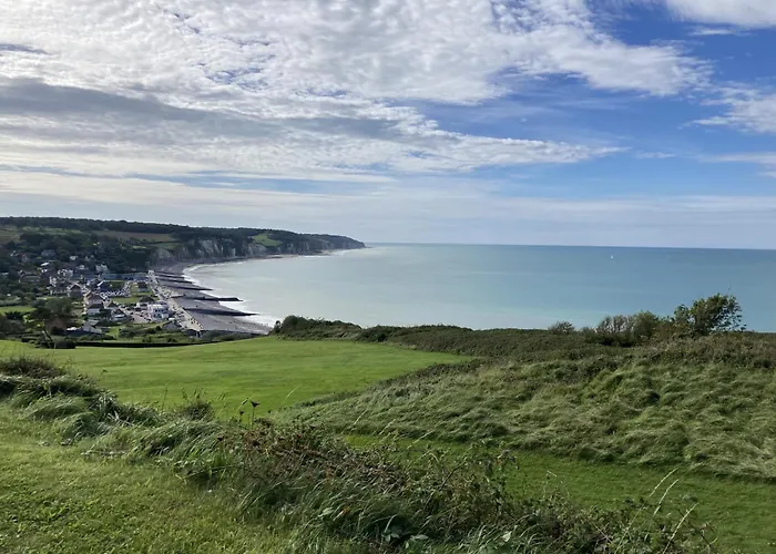 Mouettes * Hautot-sur-Mer