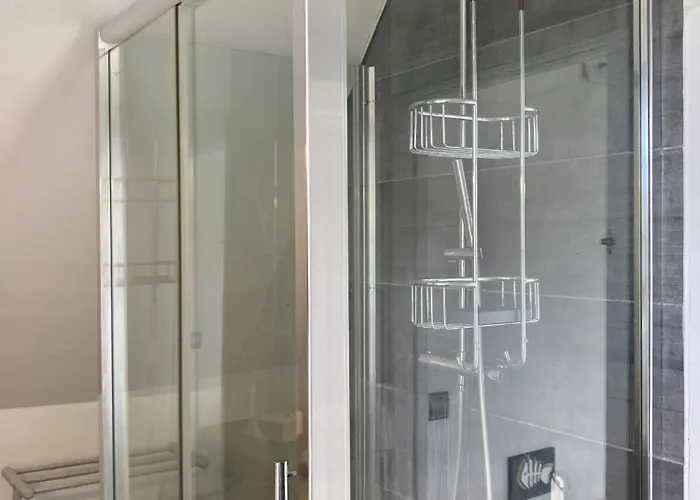 Mouettes Hautot-sur-Mer