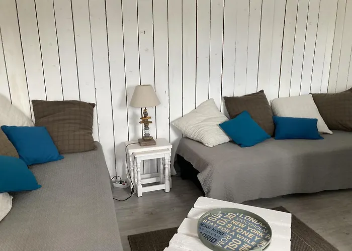 Mouettes Hautot-sur-Mer