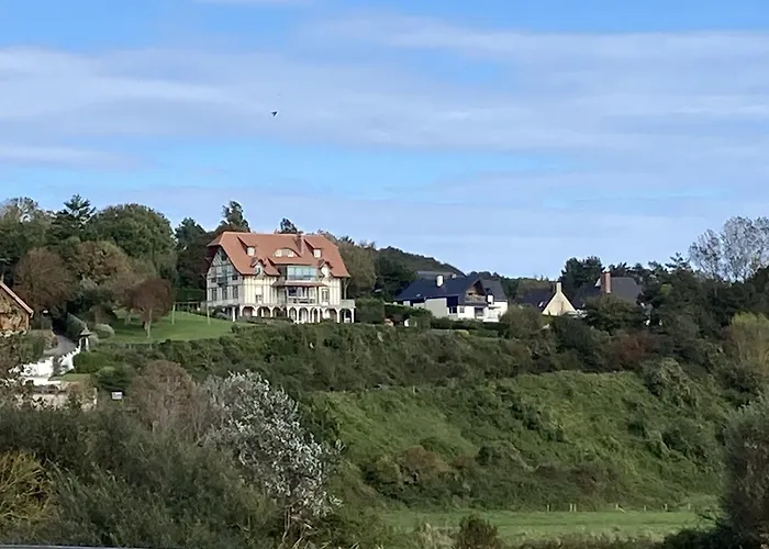Mouettes * Hautot-sur-Mer